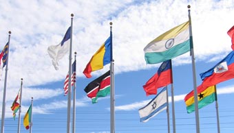 NDI Flags